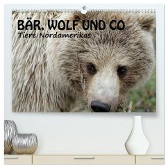 Bär, Wolf und Co - Tiere Nordamerikas (hochwertiger Premium Wandkalender 2025 DIN A2 quer), Kunstdruck in Hochglanz