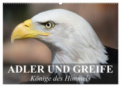 Adler und Greife - Könige des Himmels (Wandkalender 2025 DIN A2 quer), CALVENDO Monatskalender - Calvendo;Stanzer, Elisabeth