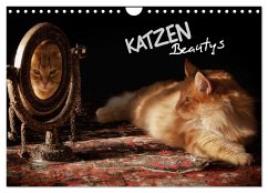 KATZEN Beautys (Wandkalender 2025 DIN A4 quer), CALVENDO Monatskalender
