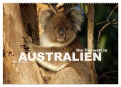 Die Tierwelt in Australien (Wandkalender 2025 DIN A2 quer), CALVENDO Monatskalender