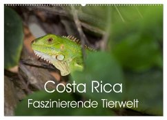 Costa Rica. Faszinierende Tierwelt (Wandkalender 2025 DIN A2 quer), CALVENDO Monatskalender - Calvendo;Gerber, Thomas