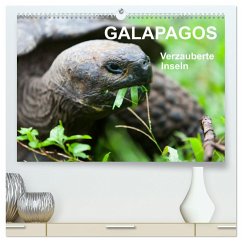 Galapagos. Verzauberte Inseln (hochwertiger Premium Wandkalender 2025 DIN A2 quer), Kunstdruck in Hochglanz