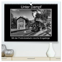 Unter Dampf - Mit der Preßnitztalbahn durchs Erzgebirge (hochwertiger Premium Wandkalender 2025 DIN A2 quer), Kunstdruck in Hochglanz