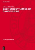 Geometrodynamics of Gauge Fields Geometrodynamics of Gauge Fields