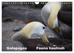 Galapagos. Fauna hautnah (Wandkalender 2025 DIN A4 quer), CALVENDO Monatskalender