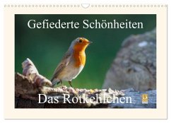 Gefiederte Schönheiten - Das Rotkehlchen (Wandkalender 2025 DIN A3 quer), CALVENDO Monatskalender - Calvendo;pötsch, rolf