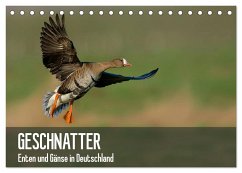 Geschnatter - Enten und Gänse in Deutschland (Tischkalender 2025 DIN A5 quer), CALVENDO Monatskalender - Calvendo;Krebs, Alexander