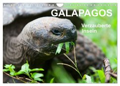 Galapagos. Verzauberte Inseln (Wandkalender 2025 DIN A4 quer), CALVENDO Monatskalender