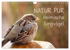NATUR PUR Heimische Singvögel (Wandkalender 2025 DIN A4 quer), CALVENDO Monatskalender