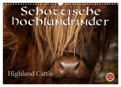 Schottische Hochlandrinder - Highland Cattle (Wandkalender 2025 DIN A3 quer), CALVENDO Monatskalender