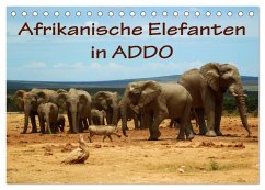 Afrikanische Elefanten in ADDO (Tischkalender 2025 DIN A5 quer), CALVENDO Monatskalender - Calvendo;van Wyk, Anke