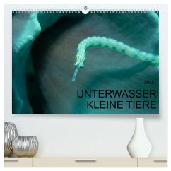 UNTERWASSER KLEINE TIERE (hochwertiger Premium Wandkalender 2025 DIN A2 quer), Kunstdruck in Hochglanz - Calvendo;Schulze, Karsten