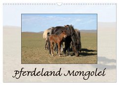 Pferdeland Mongolei (Wandkalender 2025 DIN A3 quer), CALVENDO Monatskalender