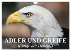 Adler und Greife - Könige des Himmels (Wandkalender 2025 DIN A4 quer), CALVENDO Monatskalender