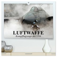 Luftwaffe. Kampfflugzeuge der USA (hochwertiger Premium Wandkalender 2025 DIN A2 quer), Kunstdruck in Hochglanz