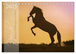 Pferde - Anmut und Stärke gepaart mit Magie (Tischkalender 2025 DIN A5 quer), CALVENDO Monatskalender - Calvendo;Mischnik, Sabrina