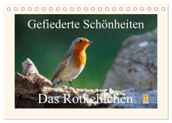Gefiederte Schönheiten - Das Rotkehlchen (Tischkalender 2025 DIN A5 quer), CALVENDO Monatskalender - Calvendo;pötsch, rolf