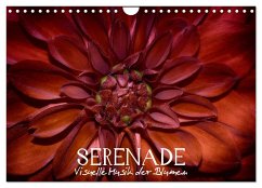 Serenade - Visuelle Musik der Blumen (Wandkalender 2025 DIN A4 quer), CALVENDO Monatskalender - Calvendo;Photon, Vronja