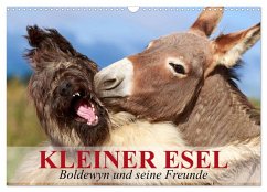 Kleiner Esel. Boldewyn und seine Freunde (Wandkalender 2025 DIN A3 quer), CALVENDO Monatskalender