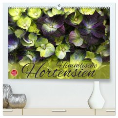 Himmlische Hortensien (hochwertiger Premium Wandkalender 2025 DIN A2 quer), Kunstdruck in Hochglanz - Calvendo;Cross, Martina