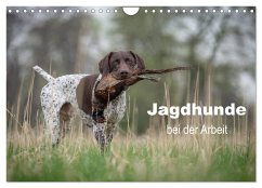 Jagdhunde bei der Arbeit (Wandkalender 2025 DIN A4 quer), CALVENDO Monatskalender