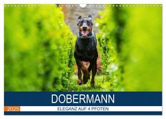 Dobermann 2025 (Wandkalender 2025 DIN A3 quer), CALVENDO Monatskalender