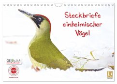 Steckbriefe einheimischer Vögel (Wandkalender 2025 DIN A4 quer), CALVENDO Monatskalender