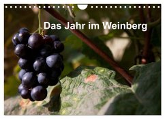 Das Jahr im Weinberg (Wandkalender 2025 DIN A4 quer), CALVENDO Monatskalender - Calvendo;Baumert, Frank