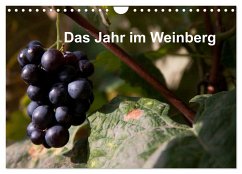 Das Jahr im Weinberg (Wandkalender 2025 DIN A4 quer), CALVENDO Monatskalender