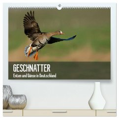 Geschnatter - Enten und Gänse in Deutschland (hochwertiger Premium Wandkalender 2025 DIN A2 quer), Kunstdruck in Hochglanz - Calvendo;Krebs, Alexander