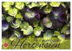 Himmlische Hortensien (Wandkalender 2025 DIN A2 quer), CALVENDO Monatskalender