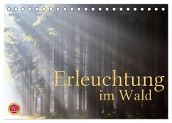 Erleuchtung im Wald (Tischkalender 2025 DIN A5 quer), CALVENDO Monatskalender