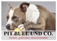 Pit Bull und Co. - Geliebt, gefürchtet, missverstanden (Wandkalender 2025 DIN A2 quer), CALVENDO Monatskalender - Calvendo;Stanzer, Elisabeth