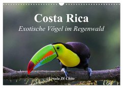 Costa Rica - Exotische Vögel im Regenwald (Wandkalender 2025 DIN A3 quer), CALVENDO Monatskalender - Calvendo;Di Chito, Ursula