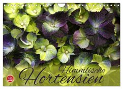 Himmlische Hortensien (Wandkalender 2025 DIN A4 quer), CALVENDO Monatskalender