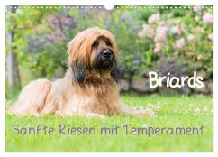 Briards - sanfte Riesen mit Temperament (Wandkalender 2025 DIN A3 quer), CALVENDO Monatskalender