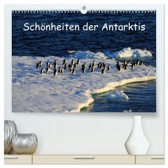 Schönheiten der Antarktis (hochwertiger Premium Wandkalender 2025 DIN A2 quer), Kunstdruck in Hochglanz