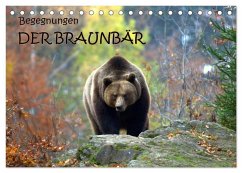 Begegnungen DER BRAUNBÄR (Tischkalender 2025 DIN A5 quer), CALVENDO Monatskalender