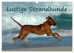 Lustige Strandhunde (Wandkalender 2025 DIN A3 quer), CALVENDO Monatskalender