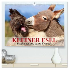 Kleiner Esel. Boldewyn und seine Freunde (hochwertiger Premium Wandkalender 2025 DIN A2 quer), Kunstdruck in Hochglanz