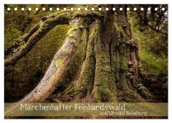 Märchenhafter Reinhardswald und Urwald Sababurg (Tischkalender 2025 DIN A5 quer), CALVENDO Monatskalender