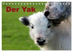 Der Yak (Tischkalender 2025 DIN A5 quer), CALVENDO Monatskalender