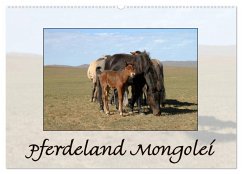 Pferdeland Mongolei (Wandkalender 2025 DIN A2 quer), CALVENDO Monatskalender