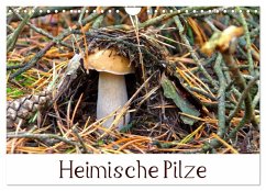 Heimische Pilze (Wandkalender 2025 DIN A4 quer), CALVENDO Monatskalender