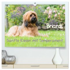 Briards - sanfte Riesen mit Temperament (hochwertiger Premium Wandkalender 2025 DIN A2 quer), Kunstdruck in Hochglanz - Calvendo;Teßen, Sonja