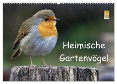 Heimische Gartenvögel (Wandkalender 2025 DIN A2 quer), CALVENDO Monatskalender