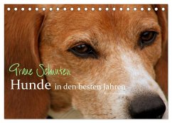 Graue Schnuten - Hunde in den besten Jahren (Tischkalender 2025 DIN A5 quer), CALVENDO Monatskalender - Calvendo;Grüttner, Kerstin