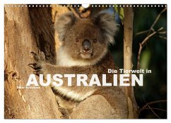 Die Tierwelt in Australien (Wandkalender 2025 DIN A3 quer), CALVENDO Monatskalender