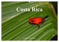 Costa Rica (Wandkalender 2025 DIN A2 quer), CALVENDO Monatskalender