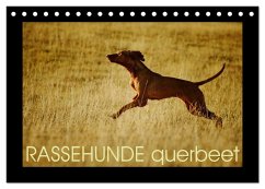 RASSEHUNDE querbeet (Tischkalender 2025 DIN A5 quer), CALVENDO Monatskalender - Calvendo;Köntopp, Kathrin